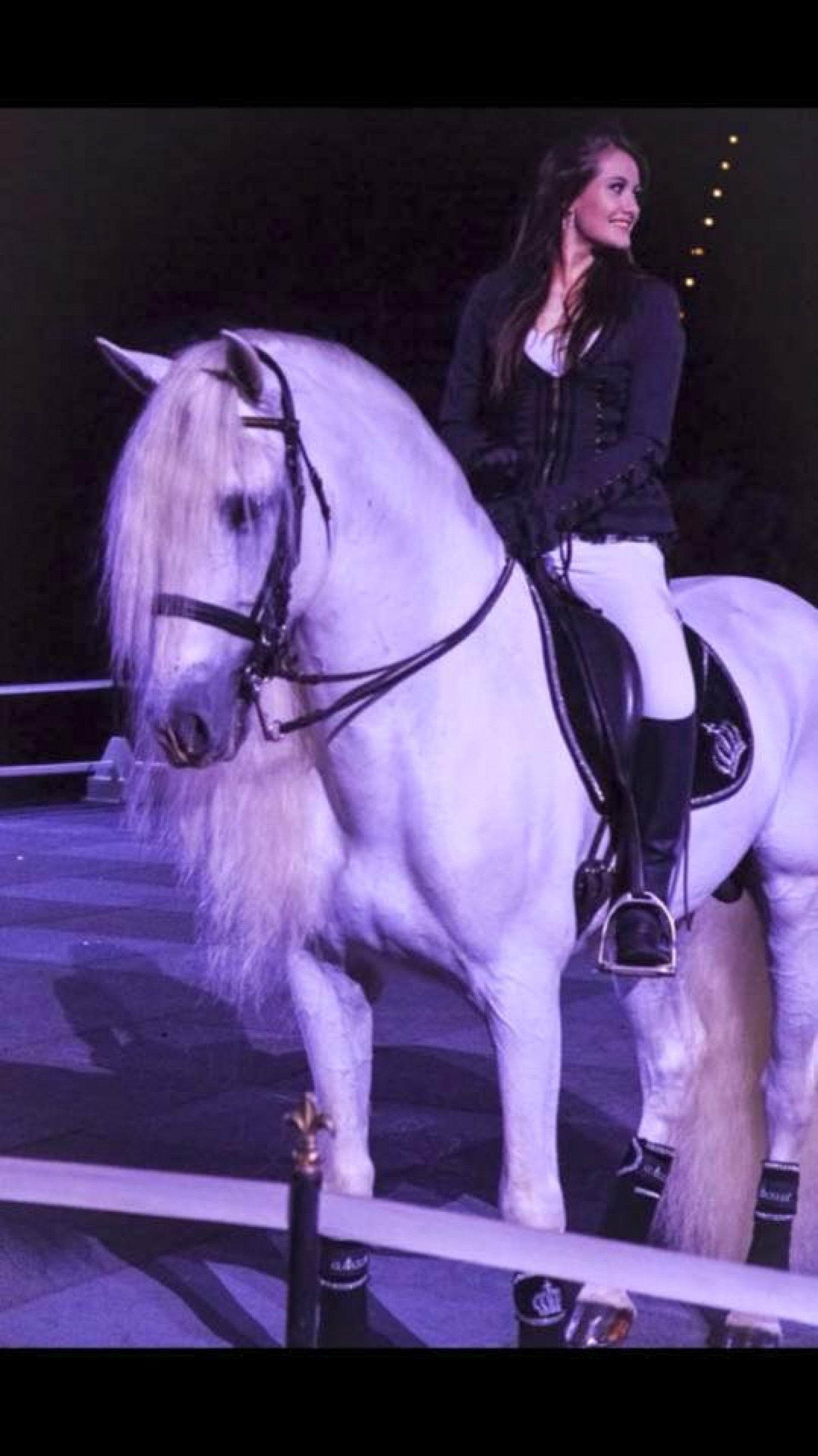 horse met gala outfit